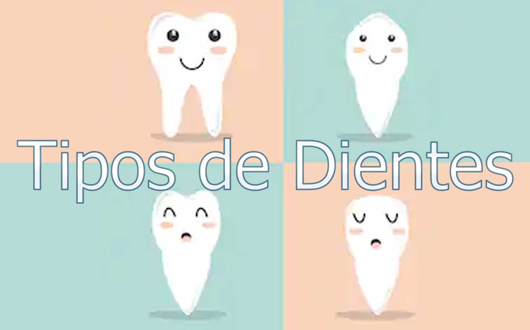 Nombres De Los Dientes ¿Sabes Cómo Se Llaman?【2020】